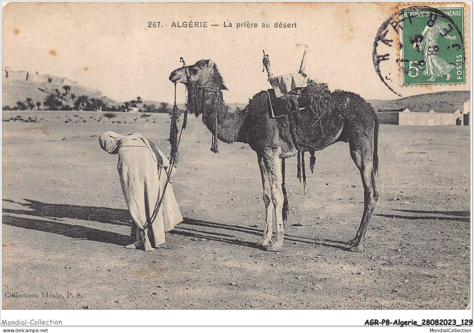 AGRP8-0617-ALGERIE - Scenes Et Types - La Priére Au Désert - Szenen