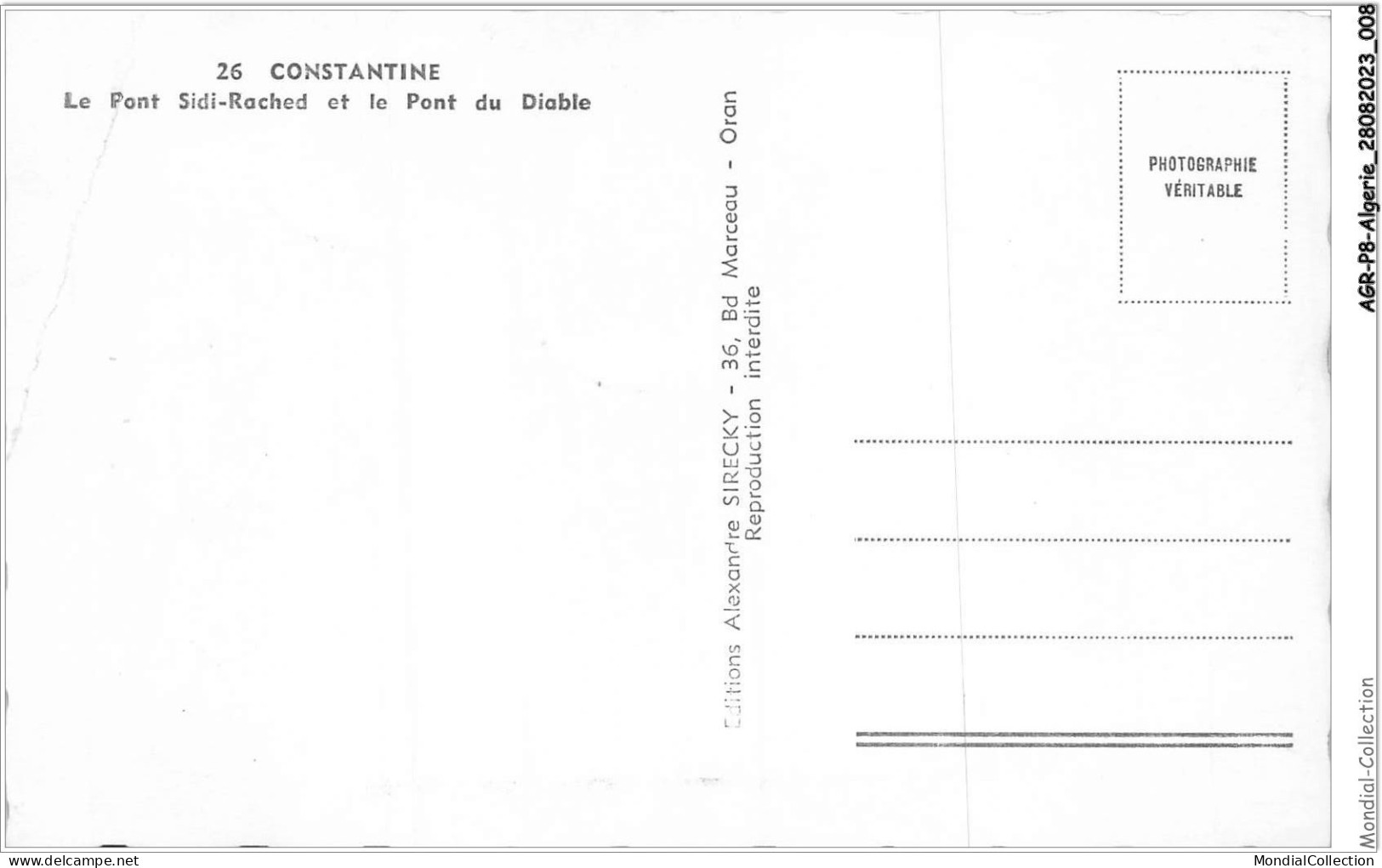 AGRP8-0556-ALGERIE - CONSTANTINE - Le Pont Sidi-rached Et Le Pont Du Diable - Constantine