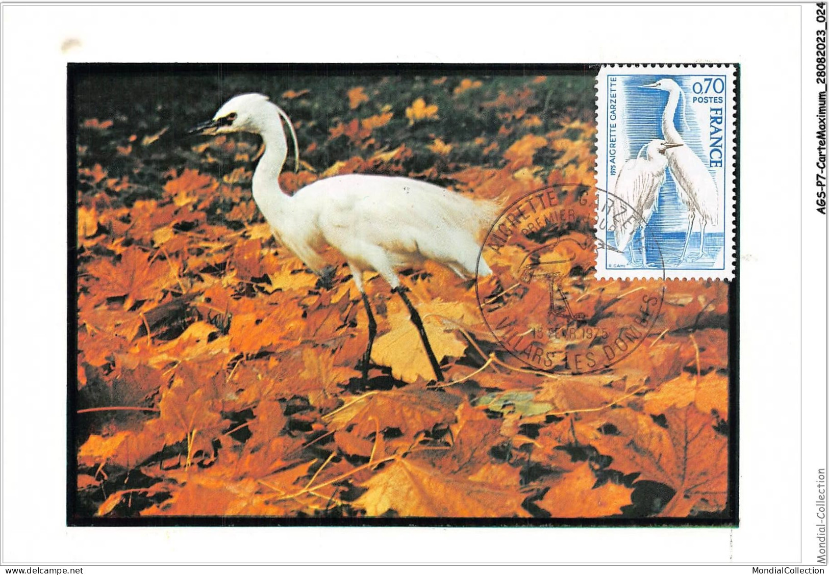 AGSP7-0416-CARTE MAXIMUM - VILLARS LES DOMBES 1975 - AIGRETTE GARZETTE - 1970-1979