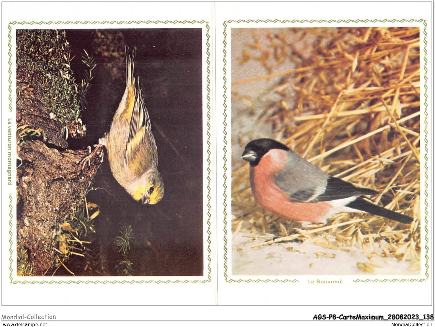 AGSP8-0552-CARTE MAXIMUM - ANDORRE-LA-VIEILLE 1985 - Protection De La Nature - 1980-1989