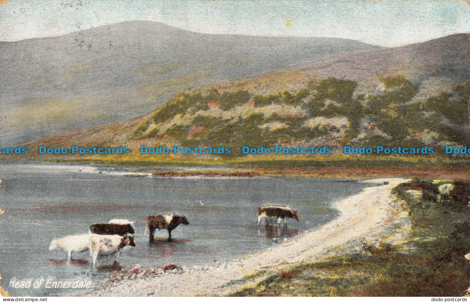 R094334 Head Of Ennerdale. Commercial. 1910 - World