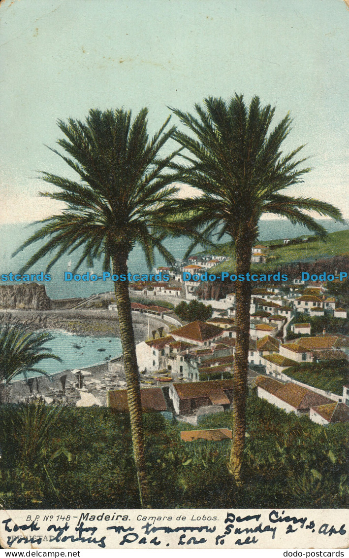 R093523 Madeira. Camara De Lobos - World