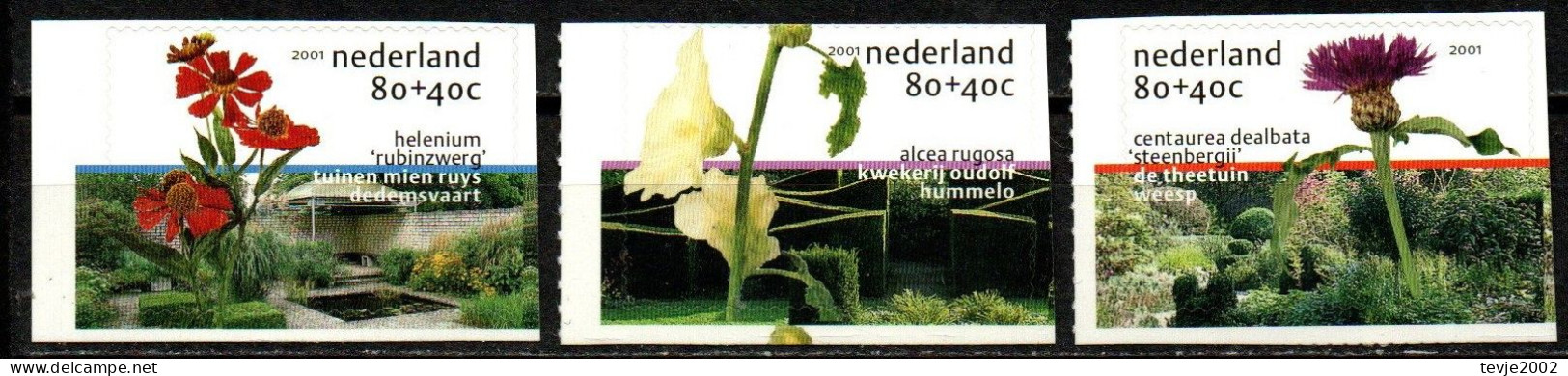 Niederlande 2001 - Mi.Nr. 1882 - 1884 - Postfrisch MNH - Blumen Flowers - Andere & Zonder Classificatie