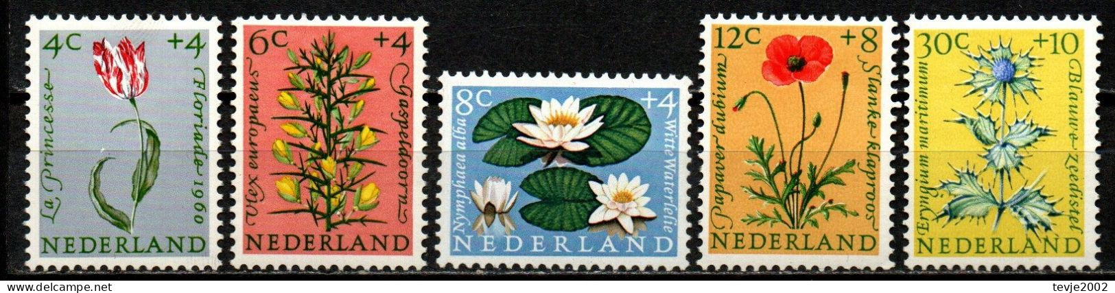 Niederlande 1960 - Mi.Nr. 746 - 750 - Postfrisch MNH - Blumen Flowers - Other & Unclassified