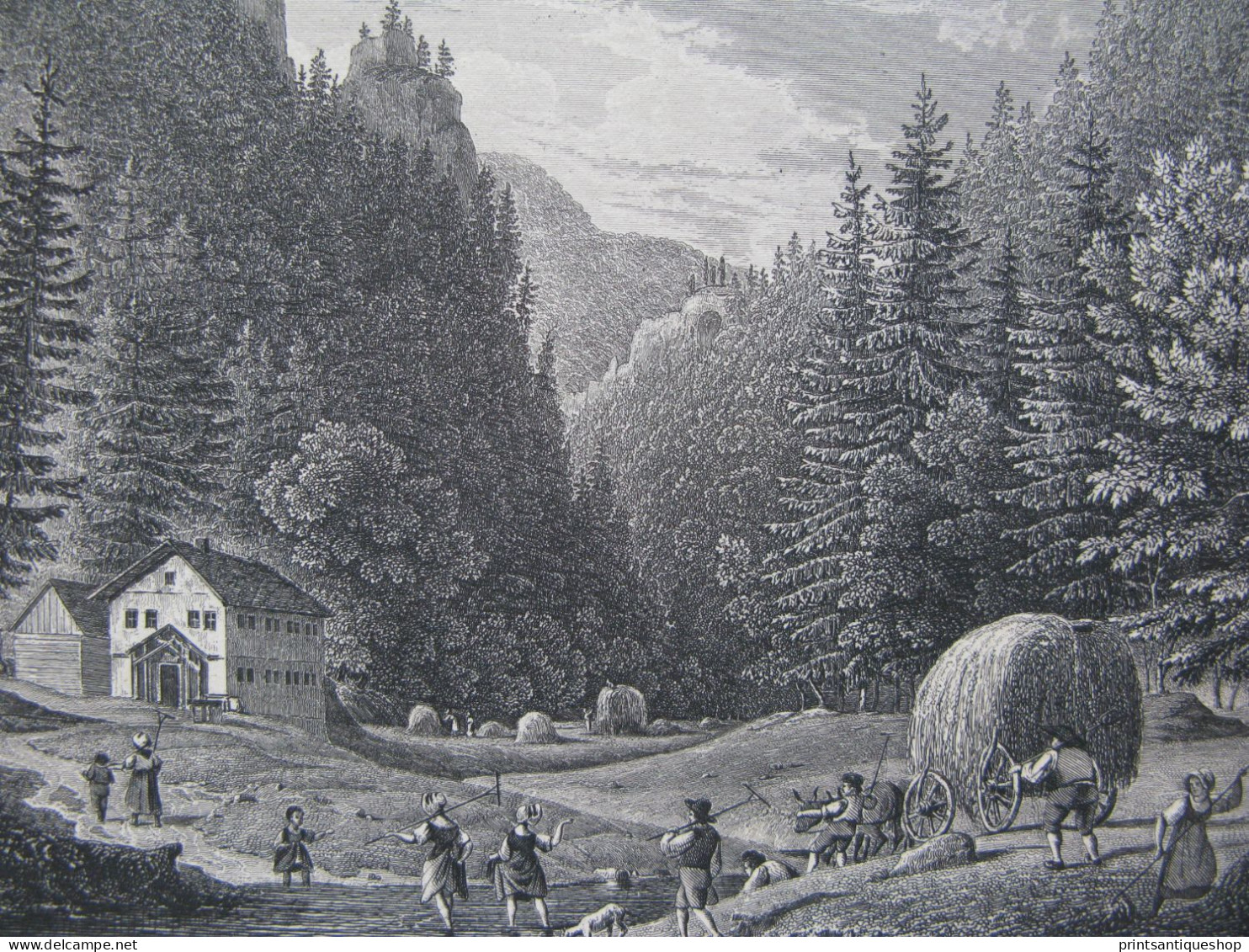 Original Print Engraving  Stahlstich Thüringer Wald Felsenthal Am Inselberg - Stampe & Incisioni