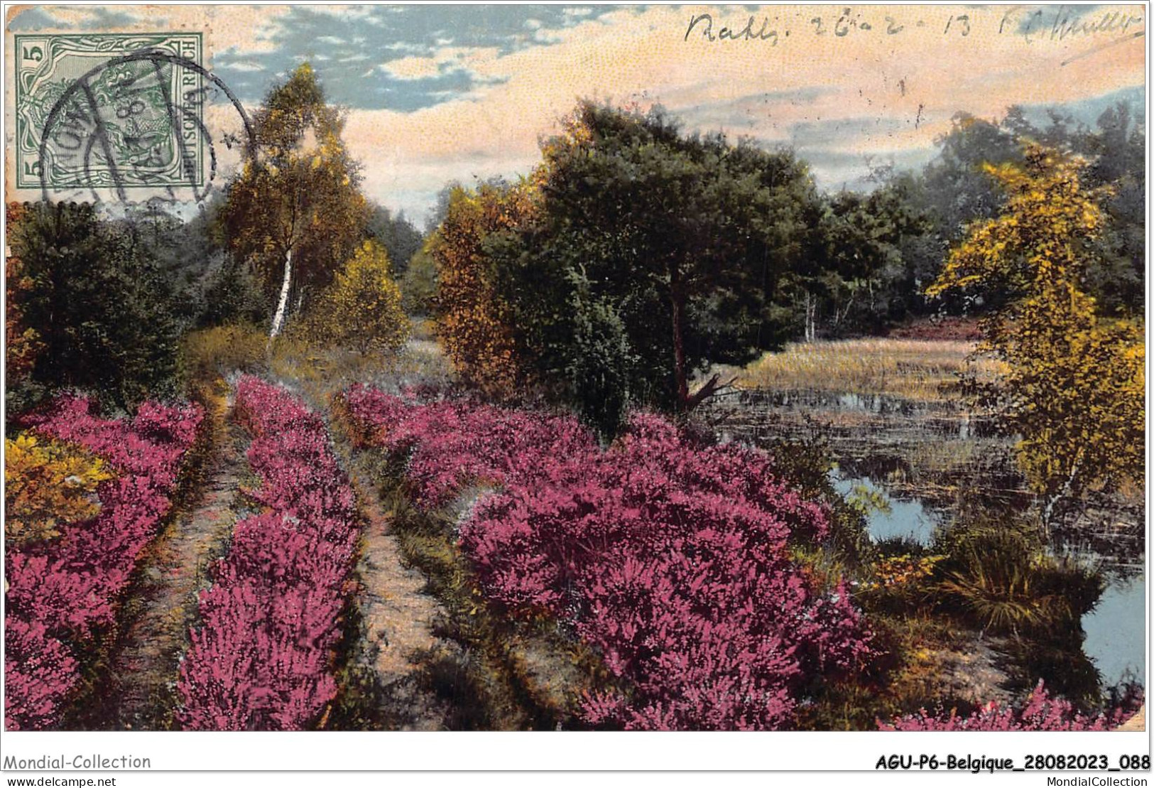 AGUP6-0490-BELGIQUE - BRUXELLES - Jardin - Bosques, Parques, Jardines