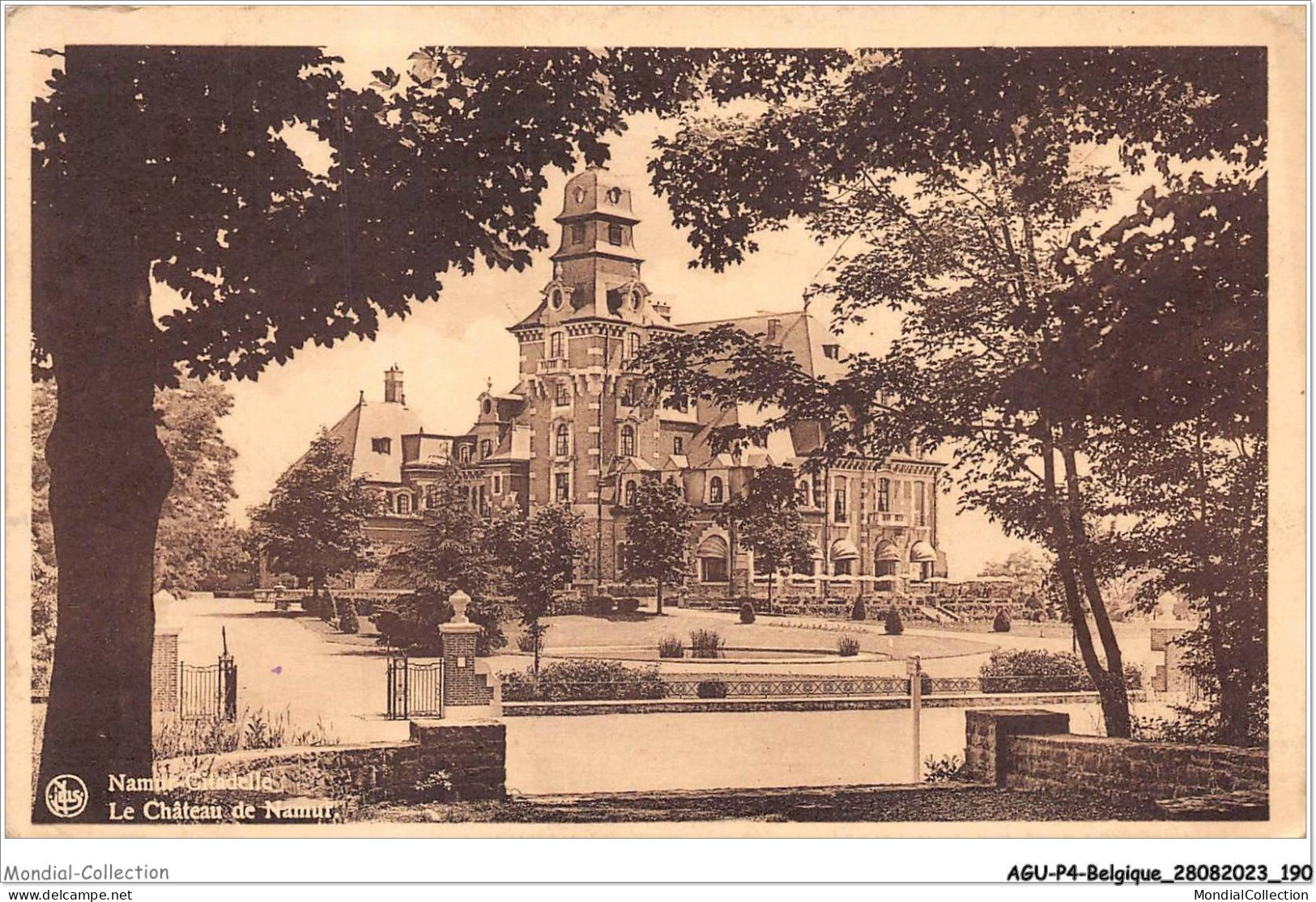 AGUP4-0331-BELGIQUE - Le Chateau De - NAMUR - Namen