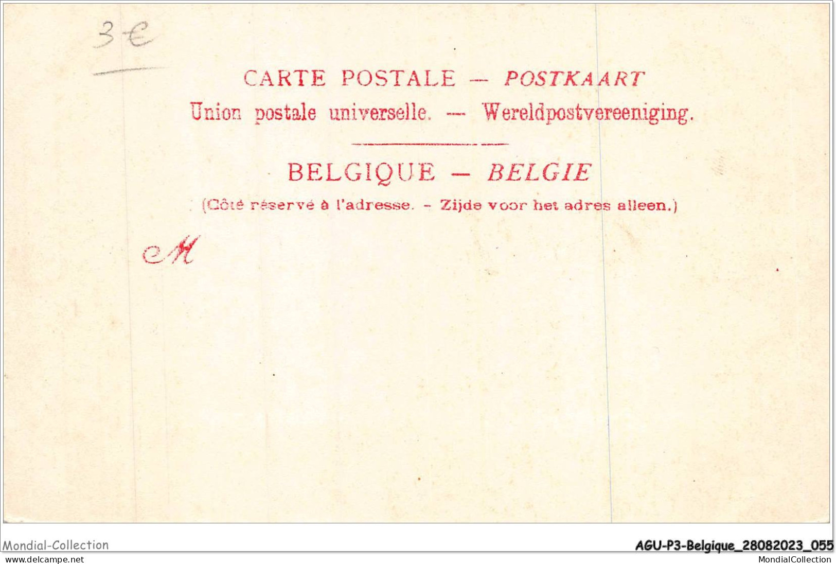 AGUP3-0171-BELGIQUE - BONSECOURS-PERUWELZ - Le Chateau Duez - Altri & Non Classificati