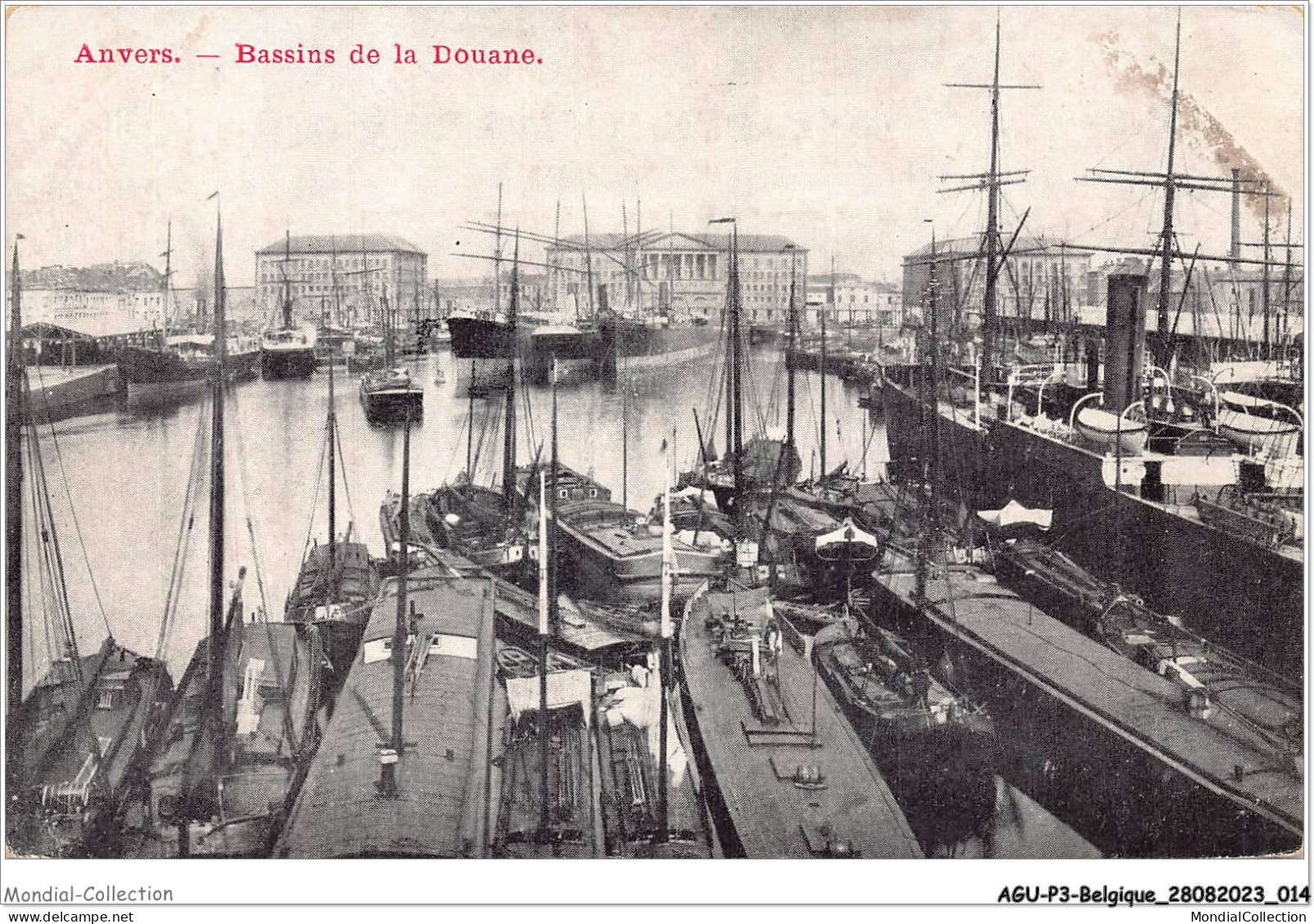AGUP3-0151-BELGIQUE - ANVERS - Bassins De La Douane - Altri & Non Classificati