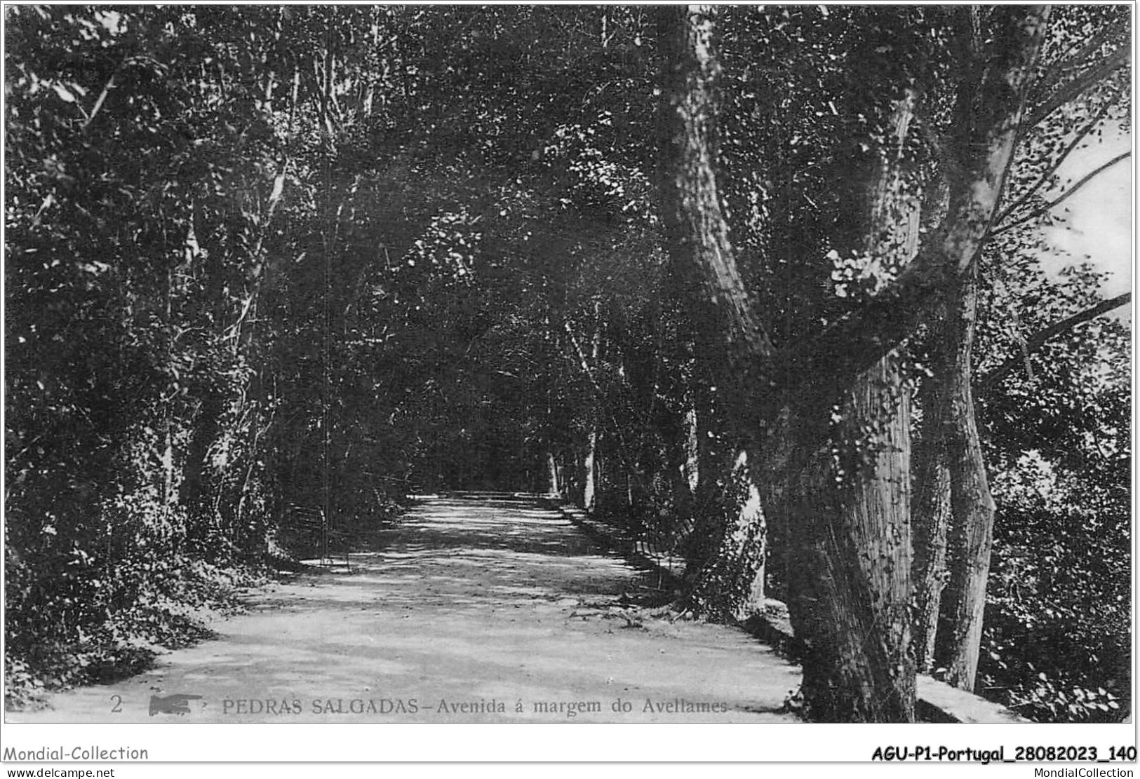 AGUP1-0072-PORTUGAL - PEDRAS SALGADAS - Avenida A Margem Do Avellames - Other & Unclassified