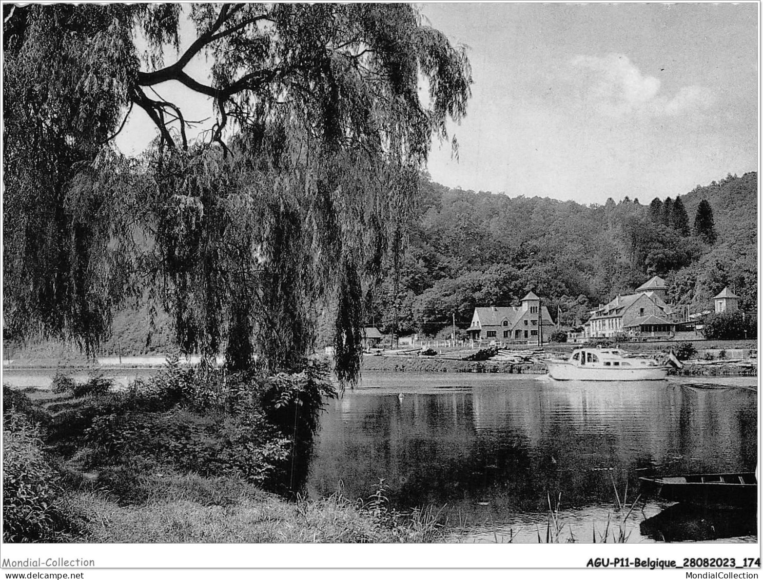 AGUP11-0990-BELGIQUE - ANSEREMME - La Meuse - Moniat - Dinant