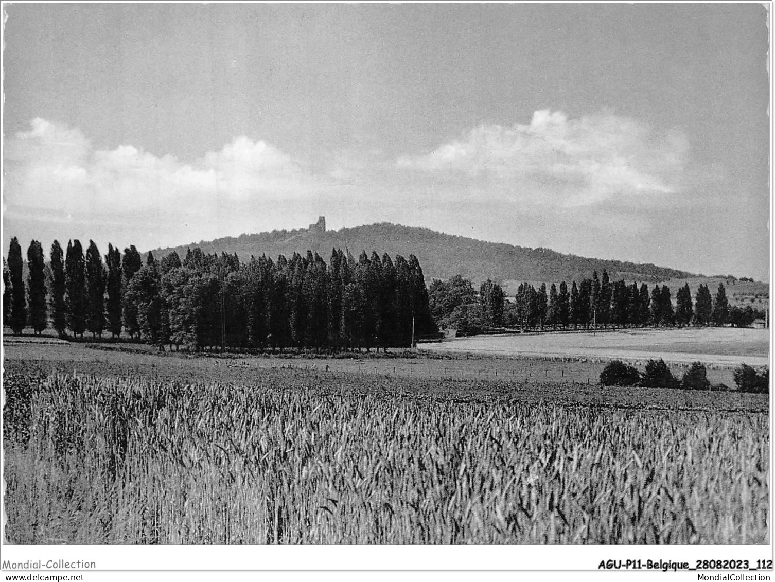 AGUP11-0959-BELGIQUE - KEMMEL - Vue Du Mont Kemmel - Other & Unclassified