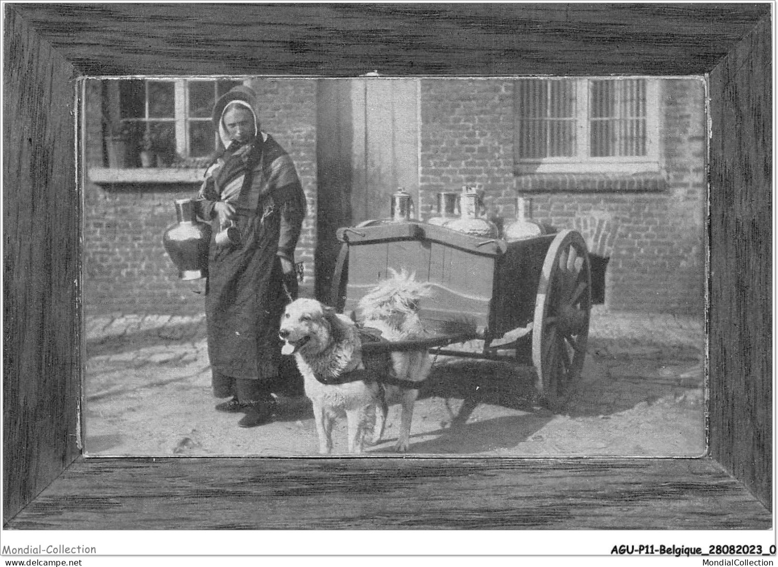 AGUP11-0902-BELGIQUE - VOITURE A CHIEN CARTE  A SYSTEME - Une Femme Et Un Chien - Autres & Non Classés