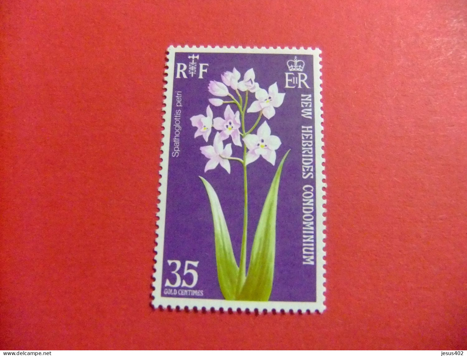 55 NEW HEBRIDES 1972 / FLORA ( SPATHOGLOTTIS PETRI / YVERT 364 MH - Ongebruikt