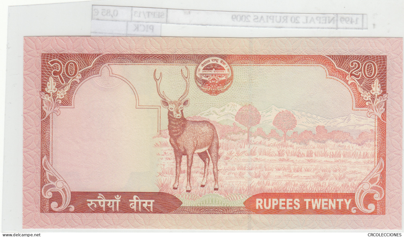 BILLETE NEPAL 20 RUPIAS 2009  - Sonstige – Asien