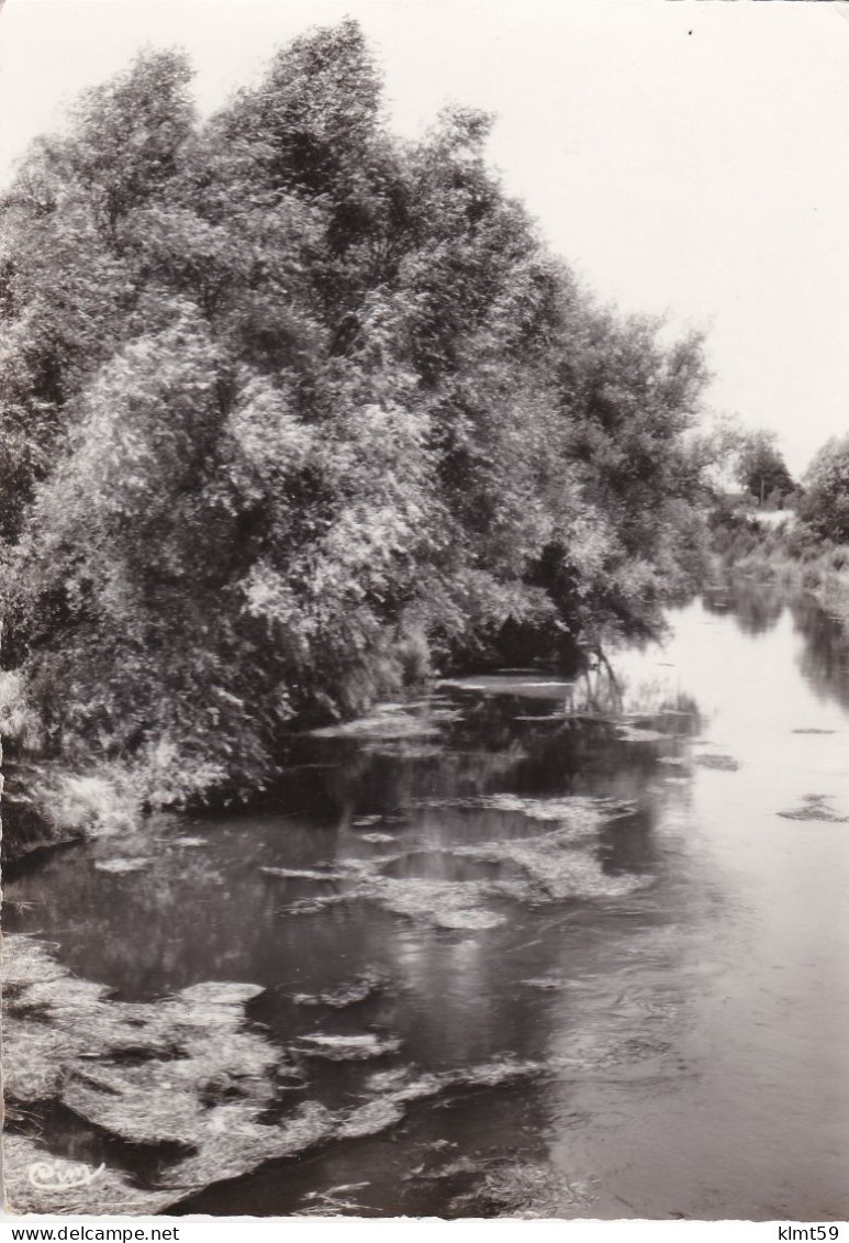 Longueau - Les Marais - Longueau