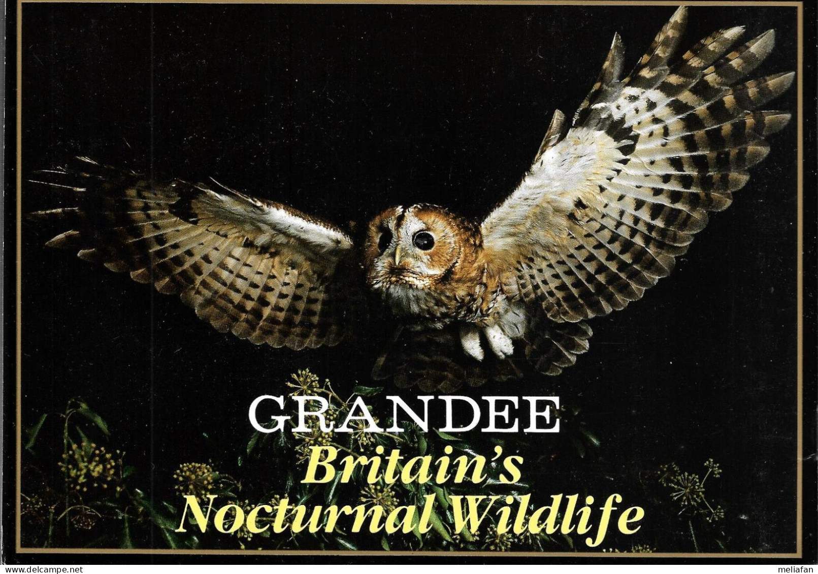 CH77 - ALBUM GRANDEE - BRITAINS NOCTURNAL WILDLIFE - COMPLET - Albums & Katalogus