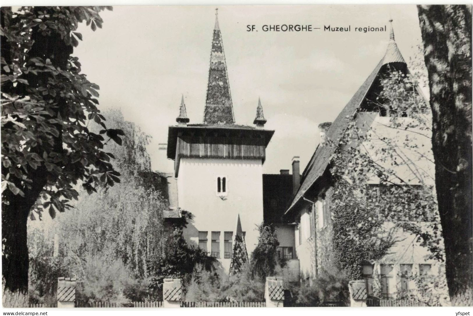 Sfîntu-Gheorghe - Regional Museum - Romania