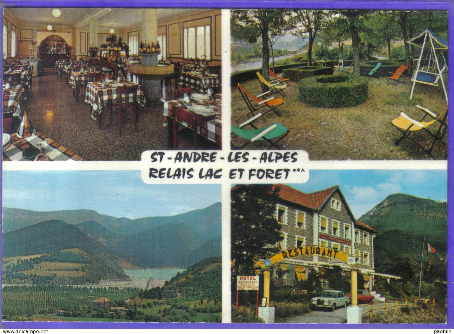 Carte Postale 04. Saint-André-les-Alpes  Hotel Lac Et Foret  Très Beau Plan - Autres & Non Classés