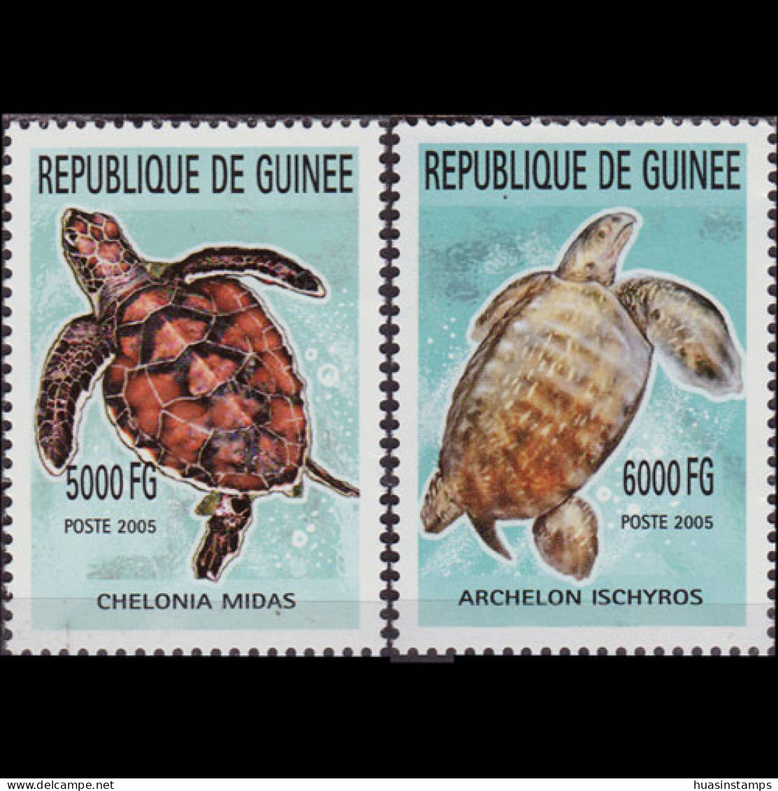 GUINEA 2005 - Turtles Set Of 2 MNH - República De Guinea (1958-...)
