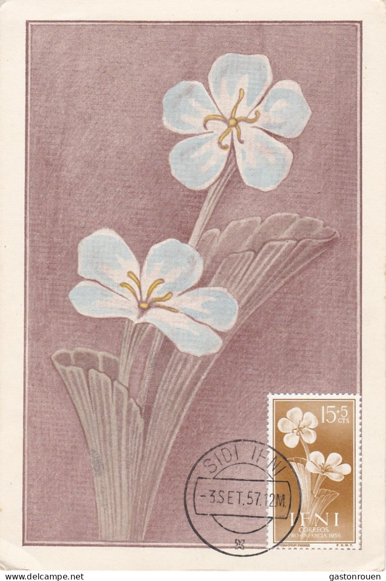 Carte Maximum IFNI 1957 Fleur Flower - Ifni