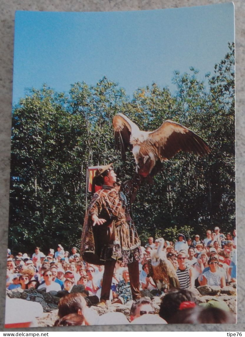 85 Vendée CPM Les Epesses Grand Parcours Du Puy Du Fou Spectacle De Fauconnerie Rapace - Autres & Non Classés