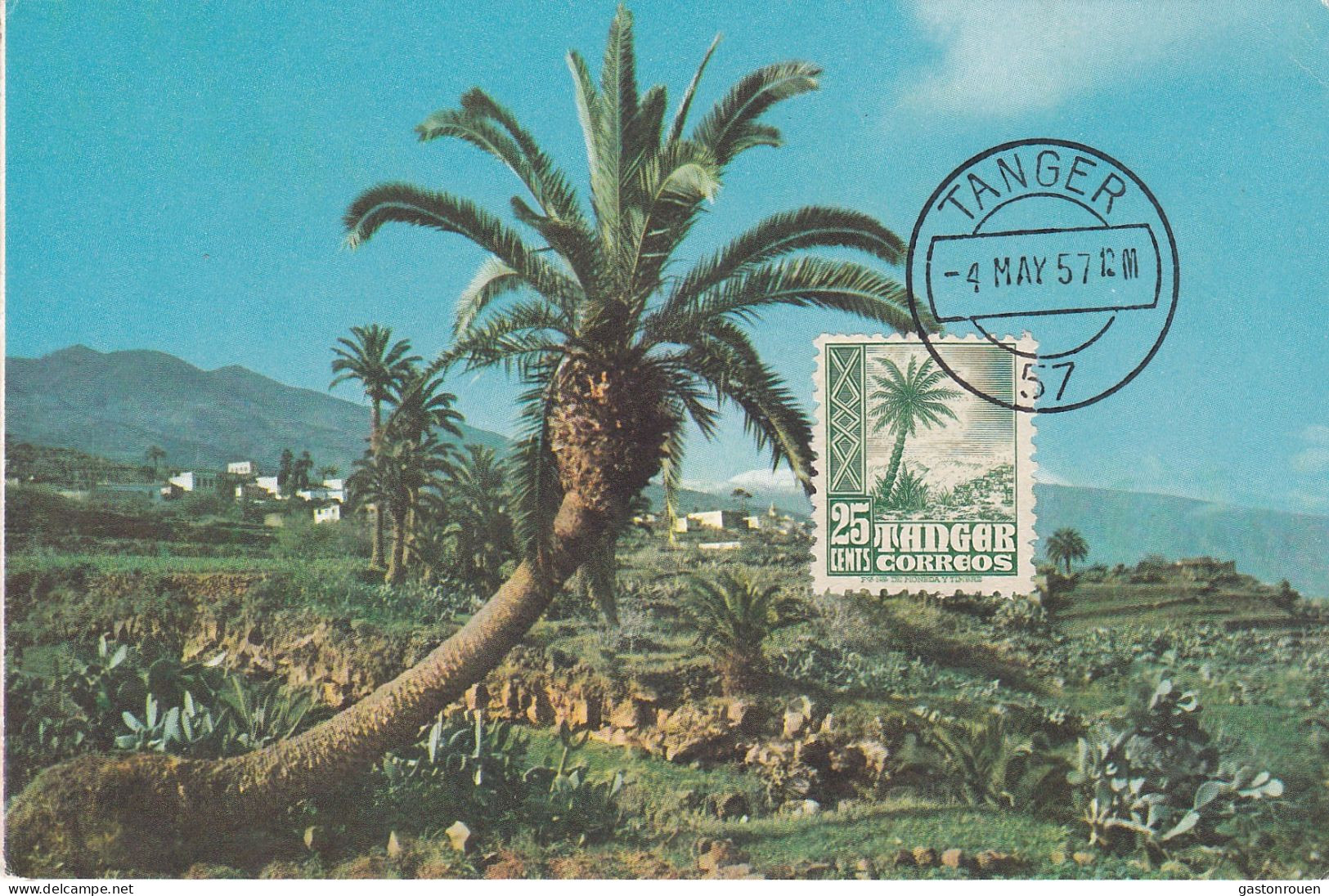 Carte Maximum Tanger 1957 Palmier - Maroc Espagnol