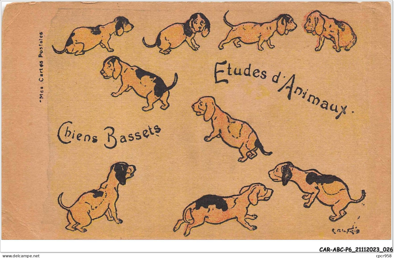 CAR-ABCP6-0492 - CHIEN - ETUDES D'ANIMAUX - CHIENS BASSETS - VENDUE EN L'ETAT - Dogs