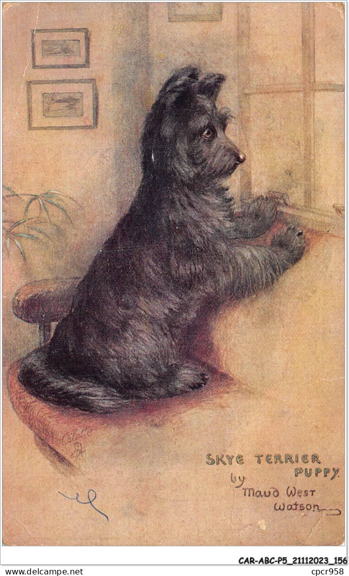 CAR-ABCP5-0475 - CHIEN - SKYE TERRIER PUPPY - UN CHIEN NOIR - Chiens