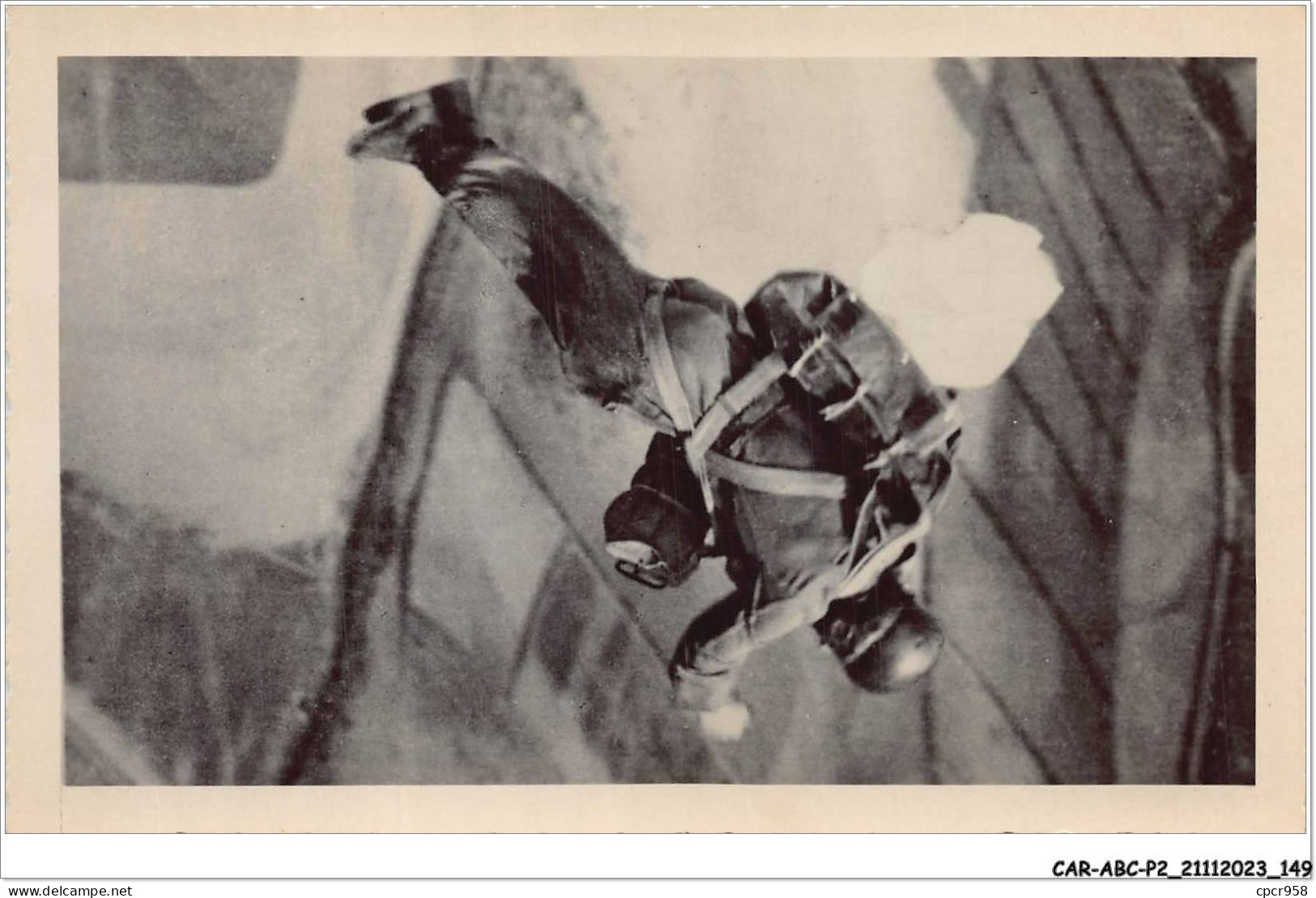 CAR-ABCP2-0174 - AVIATION - PARACHUTISME - CARTE PHOTO - Fallschirmspringen