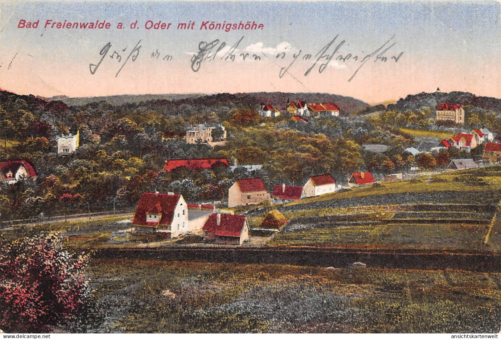 Bad Freienwalde Panorama Mit Königshöhe Gl1925 #168.141 - Autres & Non Classés