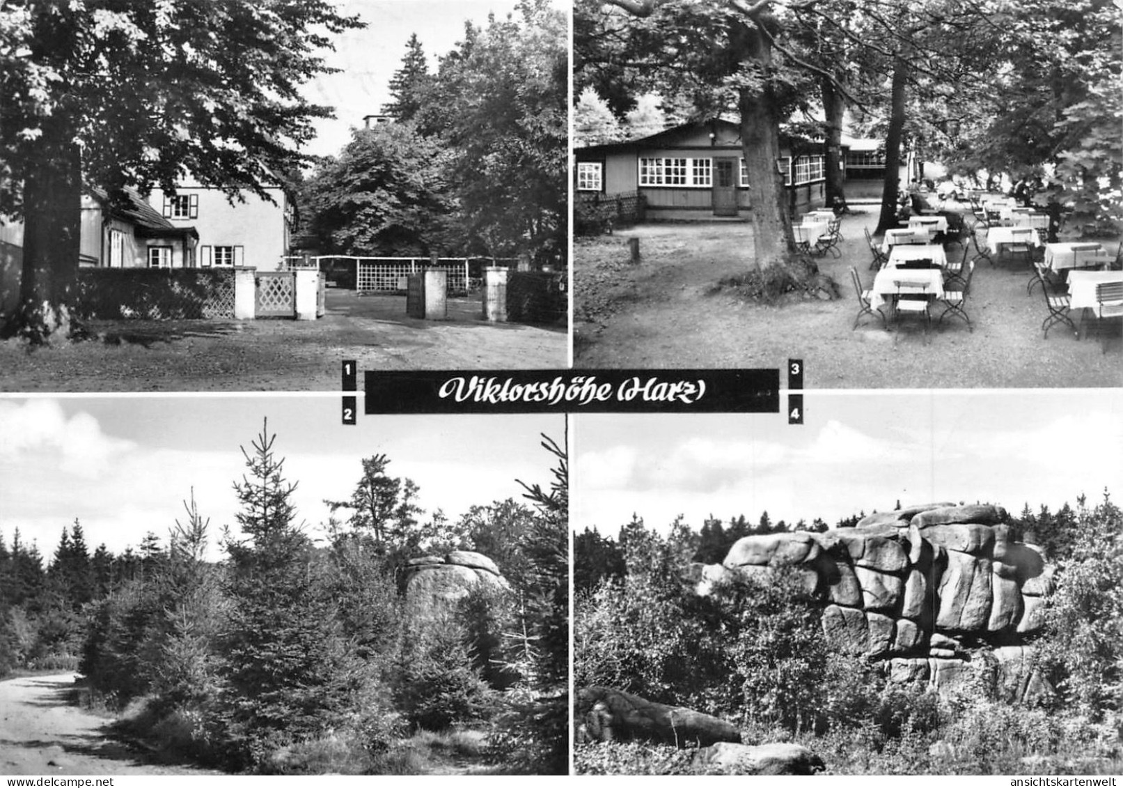 Viktorshöhe (Harz) Bei Friedrichsbrunn Gl1978 #171.802 - Andere & Zonder Classificatie