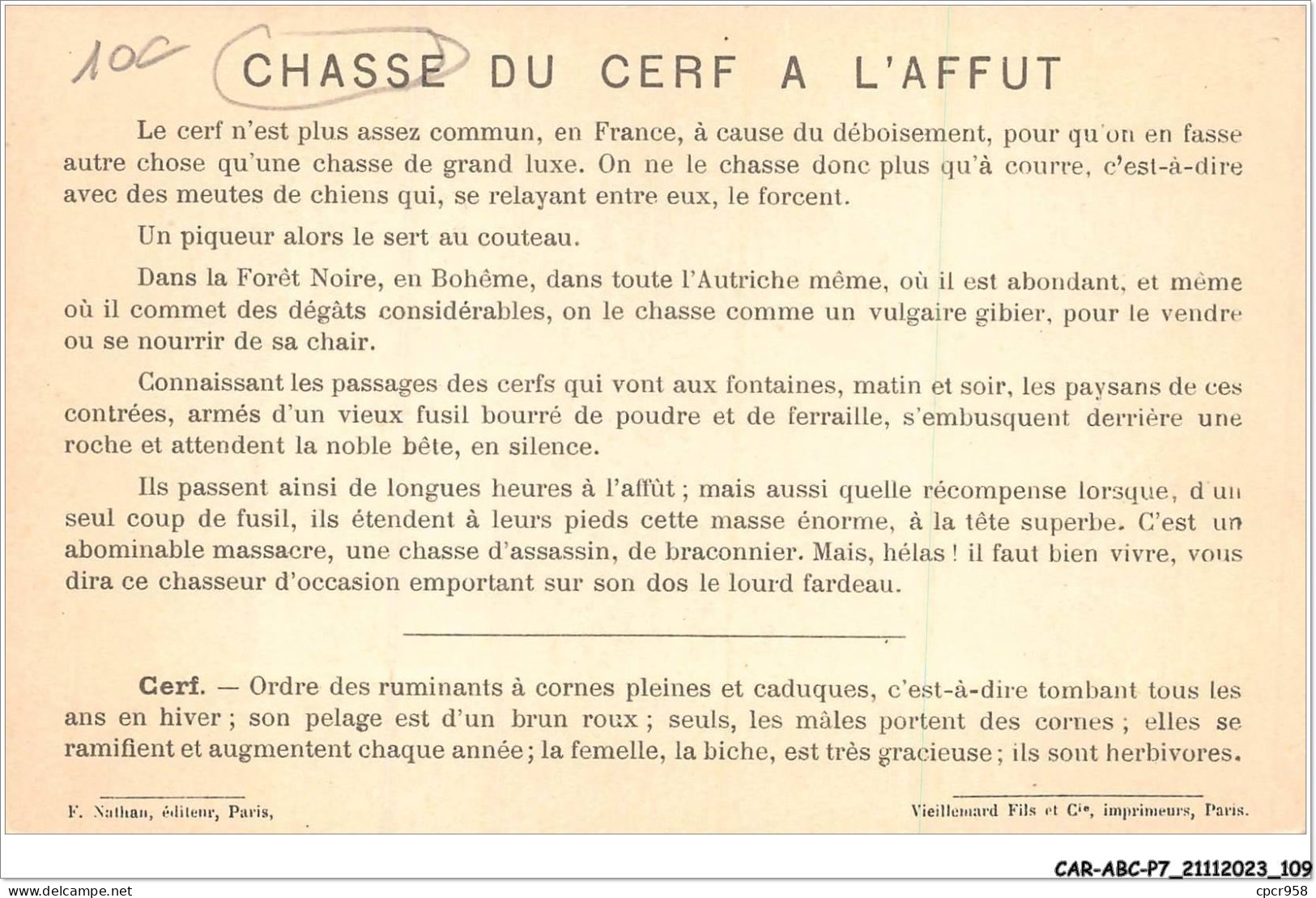 CAR-ABCP7-0628 - CHASSE A L'AFFUT - CERF - FORET NOIRE  - Jacht