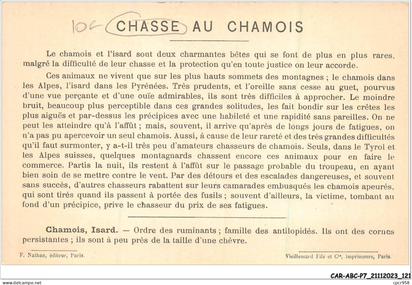 CAR-ABCP7-0634 - CHASSE AU CHAMOIS - ALPES SUISSES  - Caccia