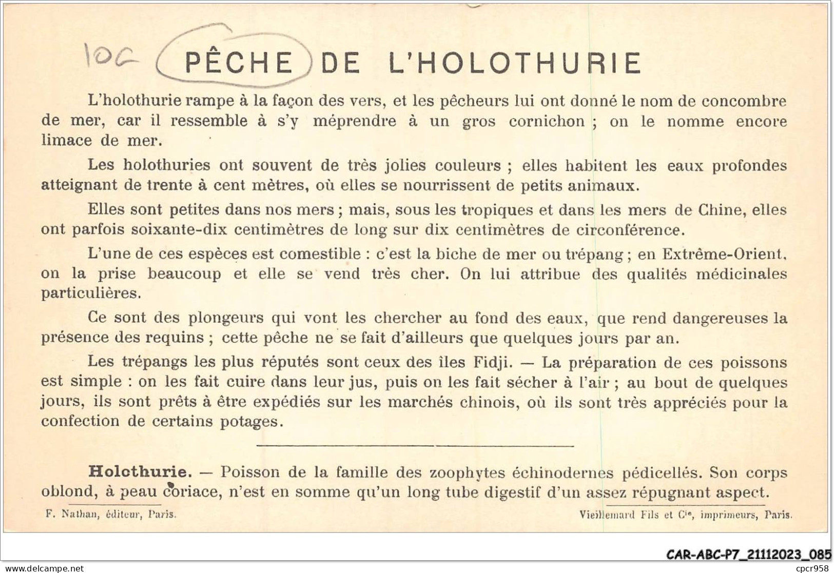 CAR-ABCP7-0616 - PECHE MARITIME - L'HOLOTHURIE - OU TREPANG A LA PLONGEE - CHINE  - Pêche