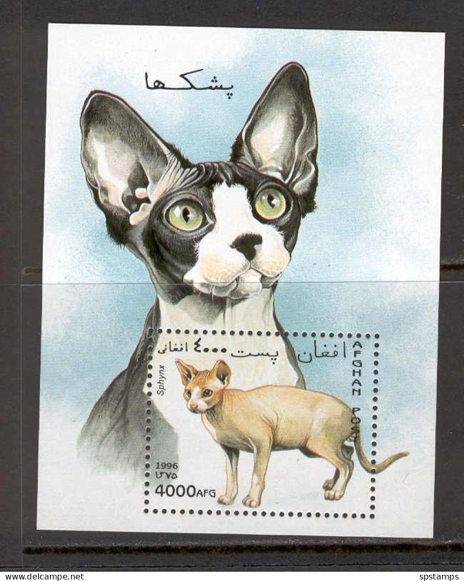 Afghanistan 1996 Cats MS MNH - Hauskatzen