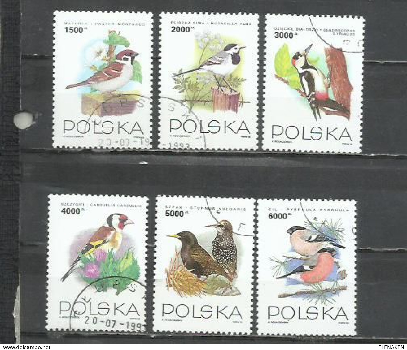 2802S- SERIE COMPLETA AVES PÁJAROS POLONIA 1993 Nº 3254/3259 BELLA SERIE - Gebruikt