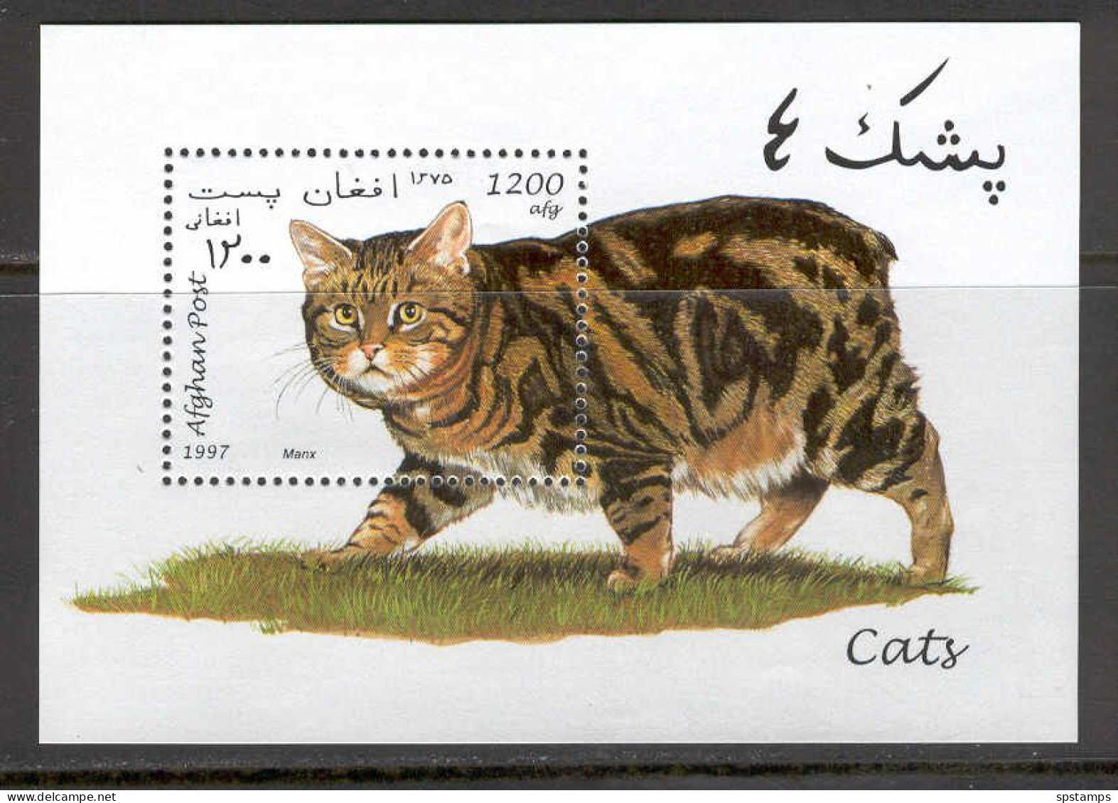 Afghanistan 1997 Cats MS MNH - Afganistán