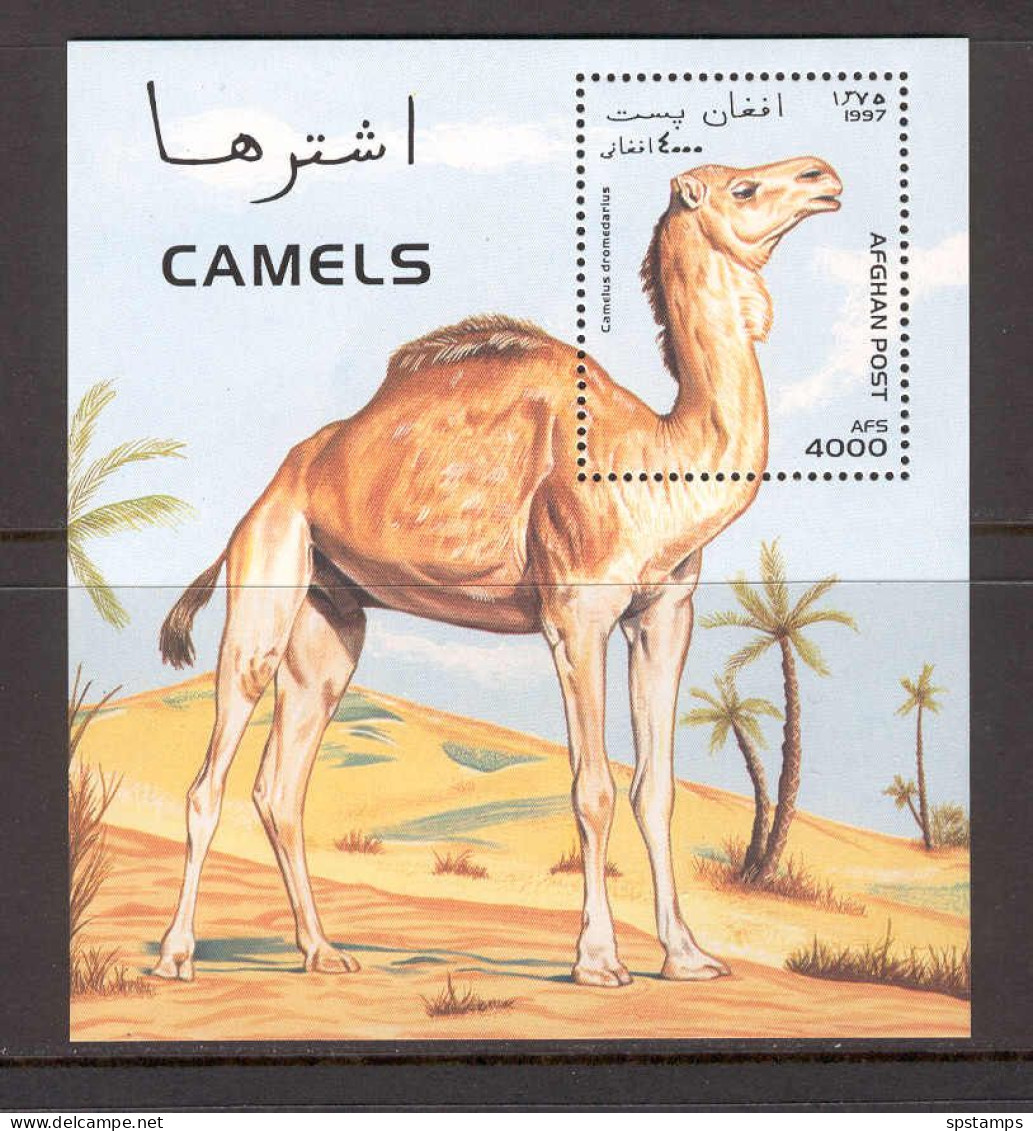 Afghanistan 1997 Animals - Lama, Camel MS MNH - Afghanistan