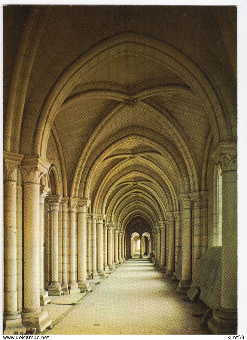 Laon - Cathédrale Notre-Dame - Tribune Du 1er étage - Laon