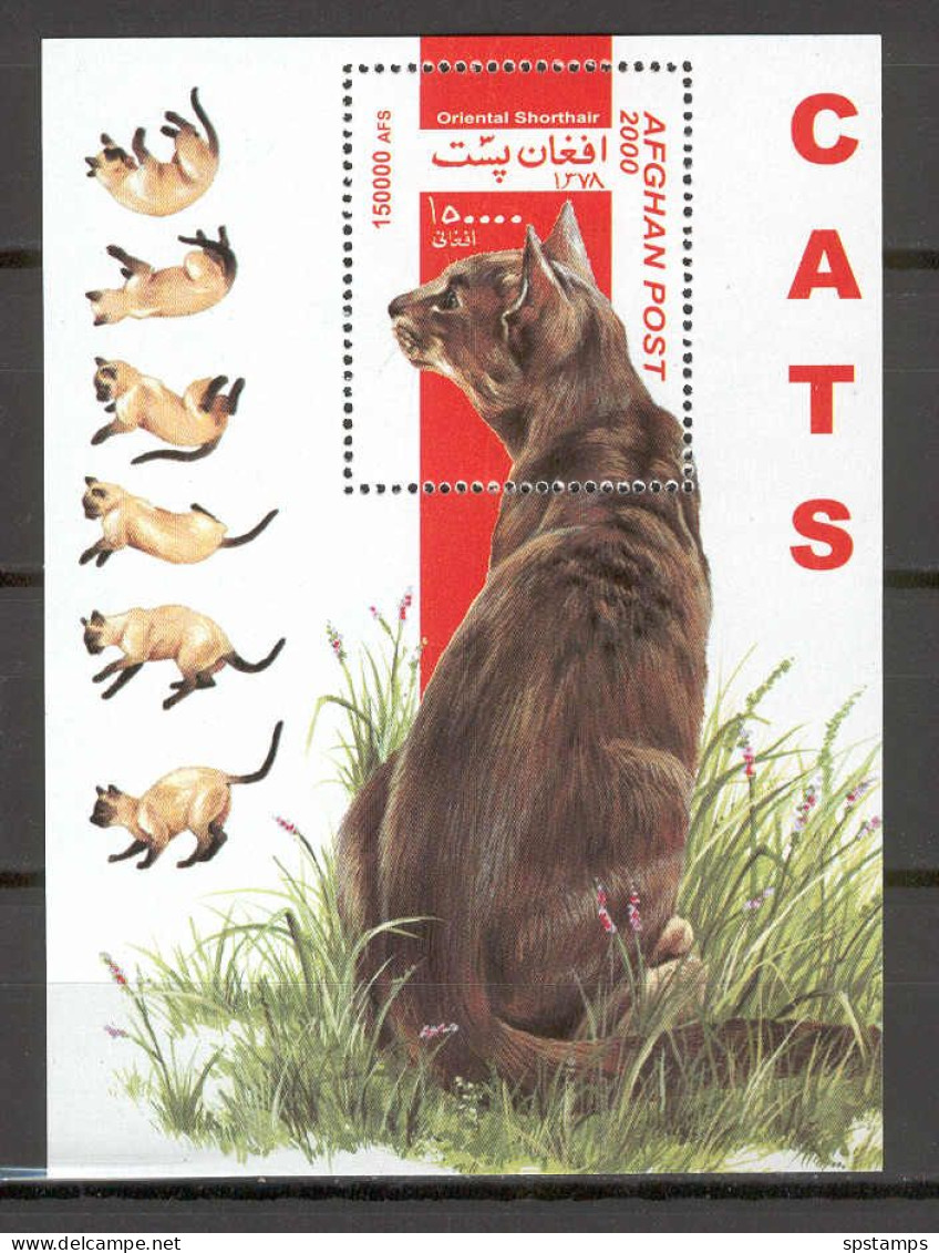 Afghanistan 2000 Cats MS MNH - Hauskatzen