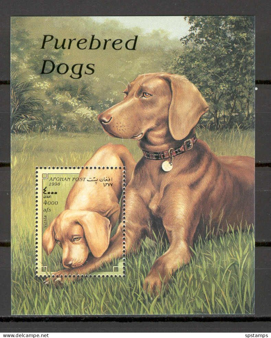 Afghanistan 1998 Dogs MS MNH - Honden