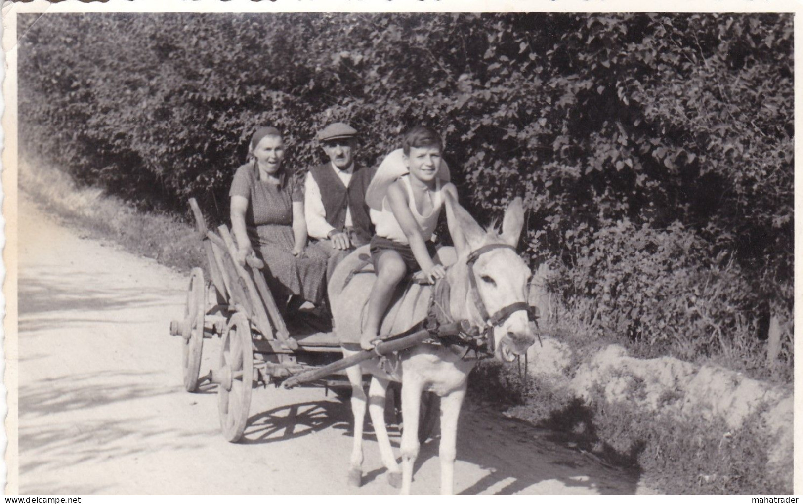 Old Real Original Photo - Little Boy On A Donkey Pulling Cart - 1958 - Ca. 12.5x8.5 Cm - Anonyme Personen