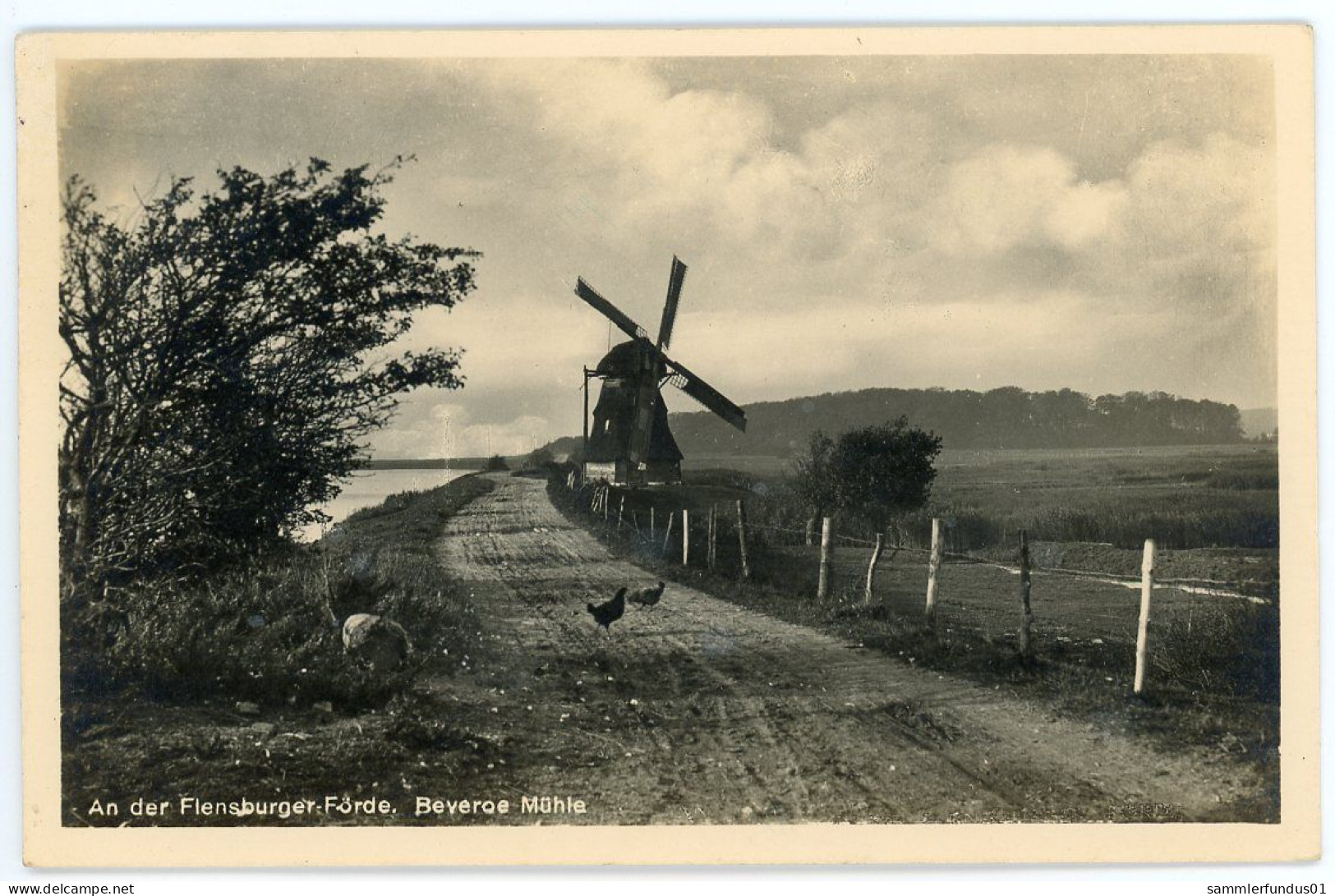 AK/CP Beveroe  Windmühle  Mill   Flensburger Förde    Gel/circ.    1943    Erhaltung/Cond. 2    Nr.1773 - Flensburg
