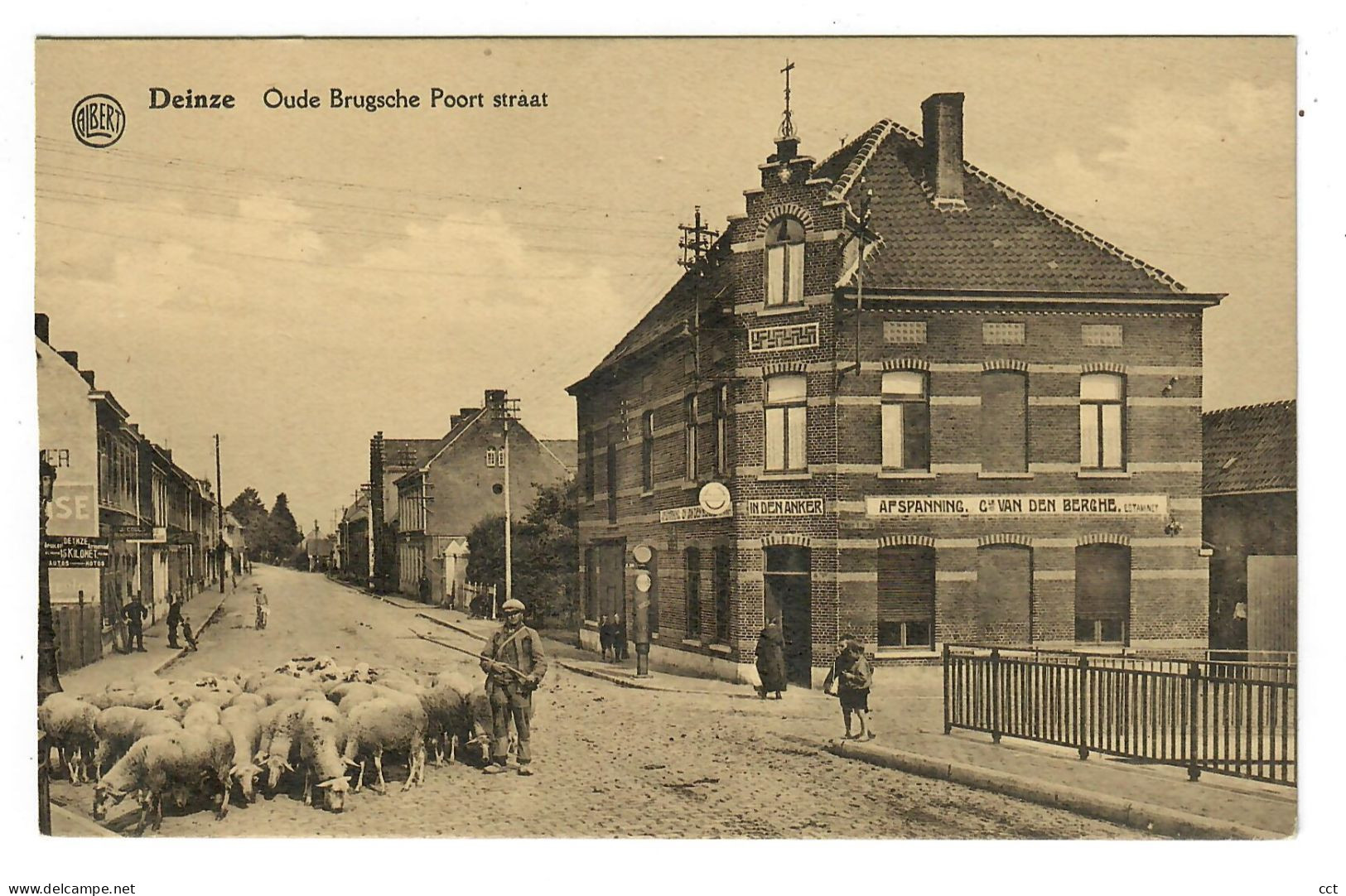 Deinze  Oude Brugsche Poort Straat     HERDER  BERGER MOUTONS - Deinze