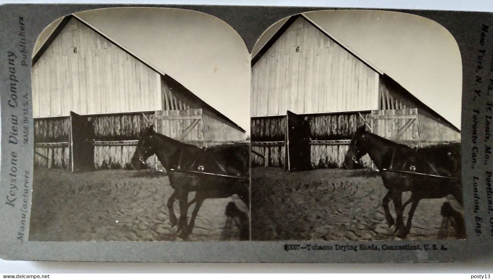 Photographie Stéréoscopique  Séchage Tabac, Connecticut, USA - Keystone  TBETBE - Stereoscopic