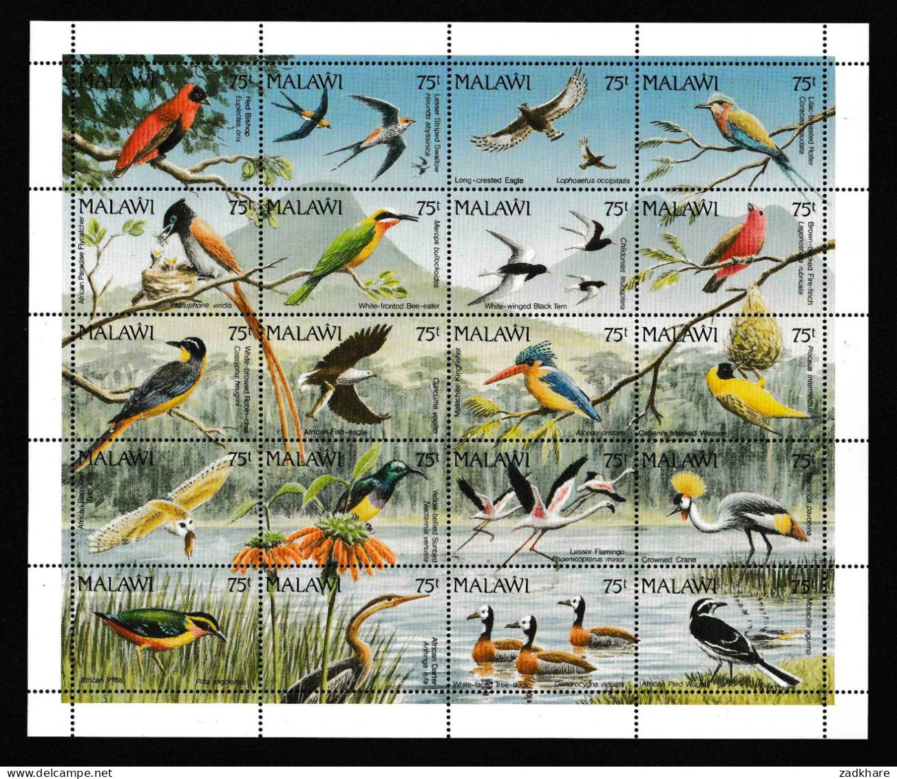 Malawi 1992 Birds Vögel Sheetlet Postfrisch MNH** - Malawi (1964-...)