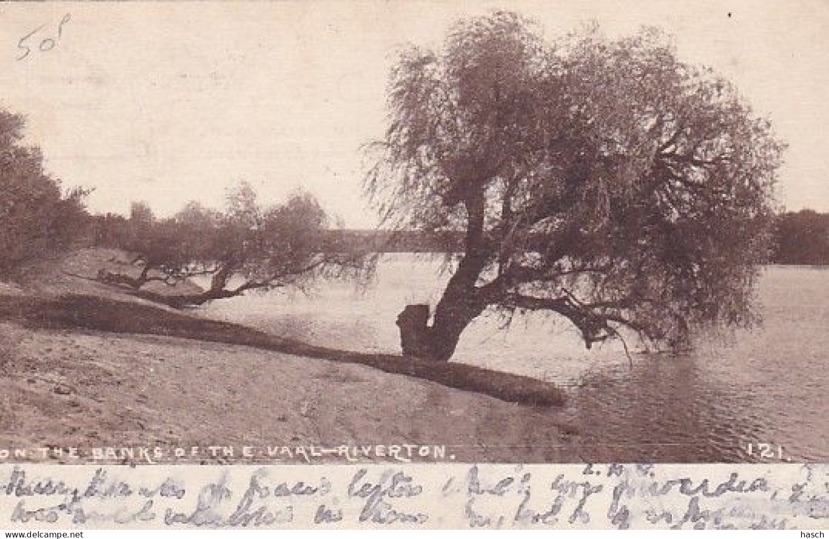 4823134Riverton, On The Banks Of The Vaal Riverton.(briefmark 1905)(see Corners, See Sides) - Sud Africa