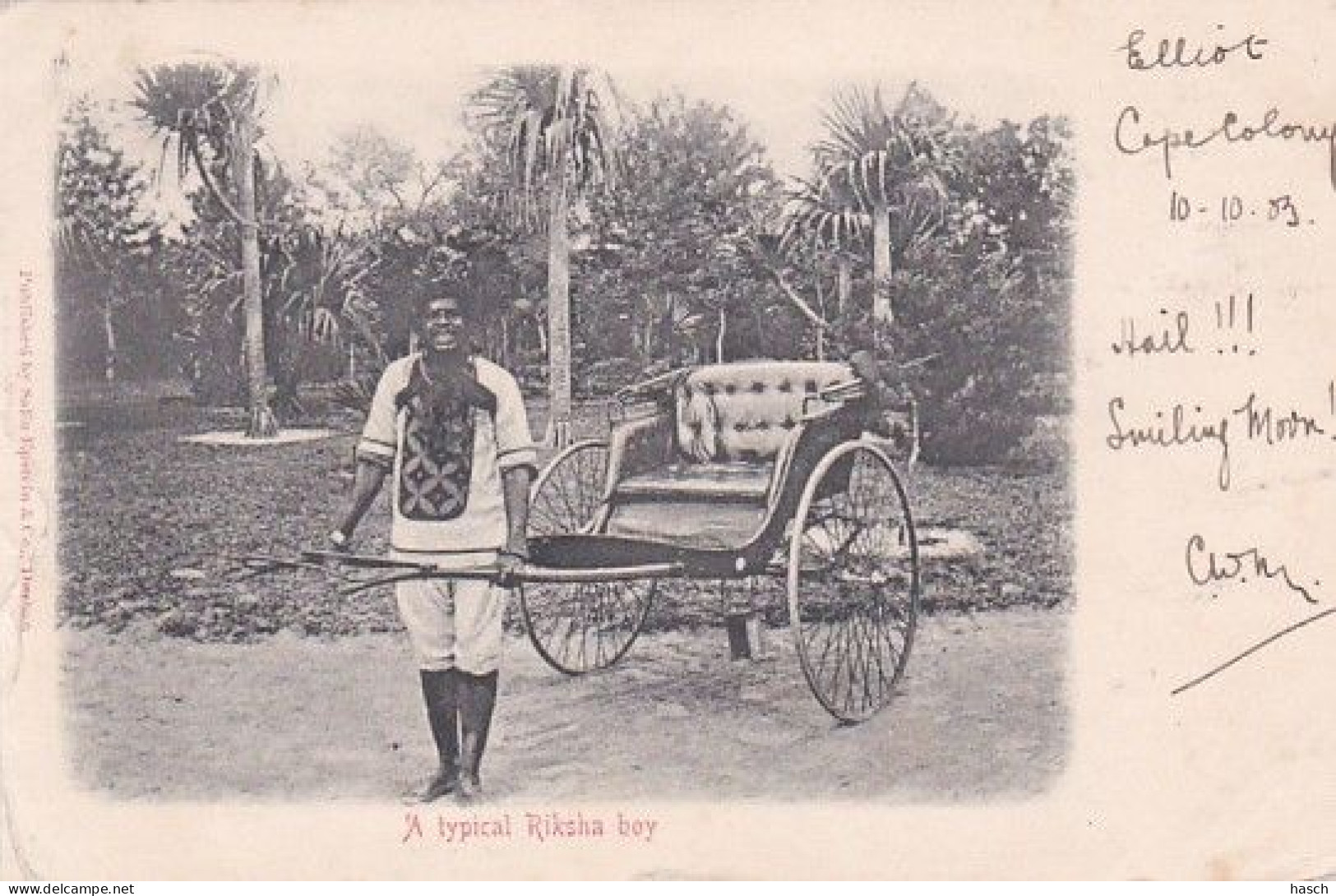 482343A Typical Riksha Boy. (postmark 1903)( See Corners, Sides, Backside) - South Africa