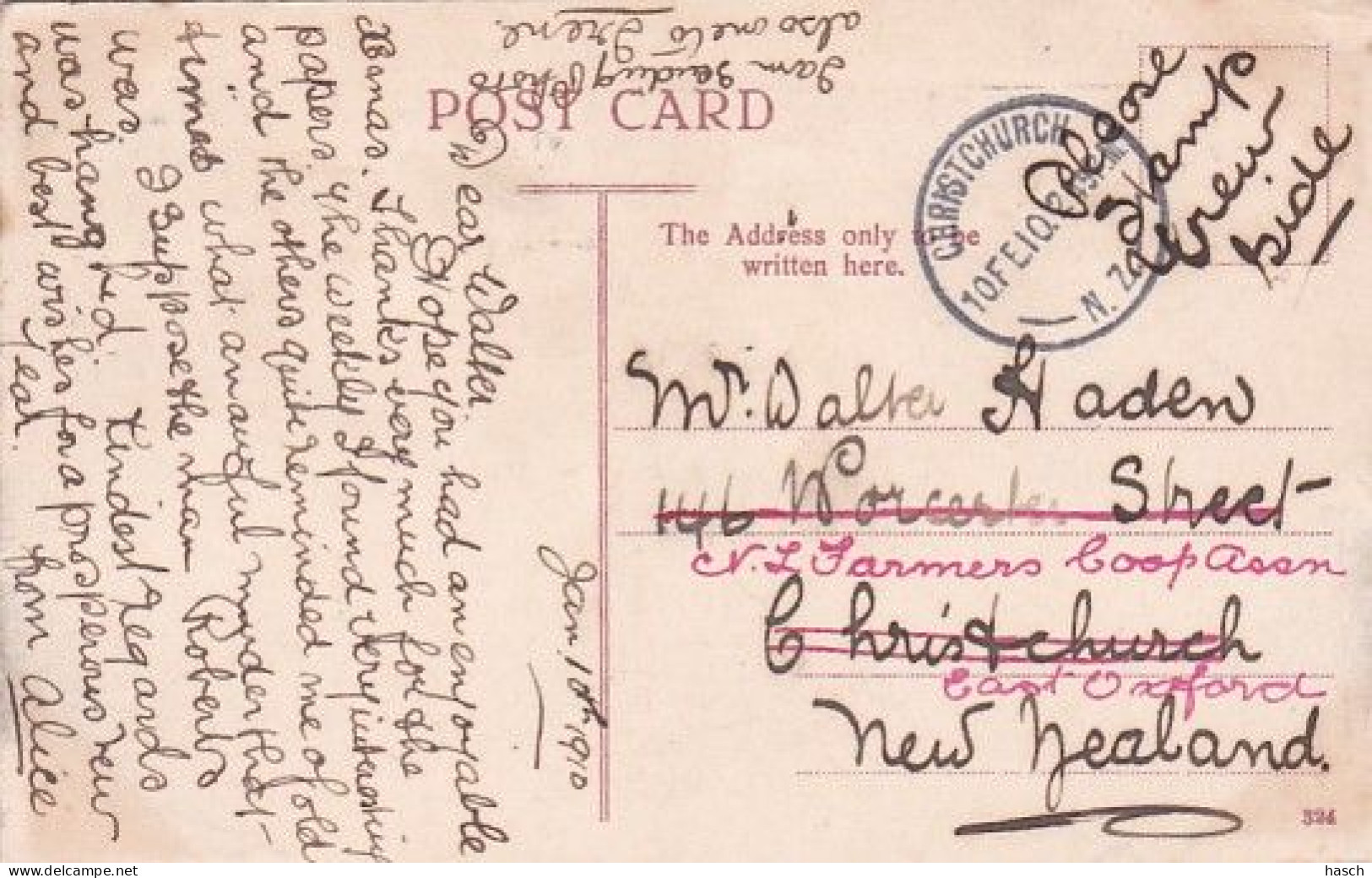 482335Ostriches. 1910. (little Crease Corners) - Afrique Du Sud